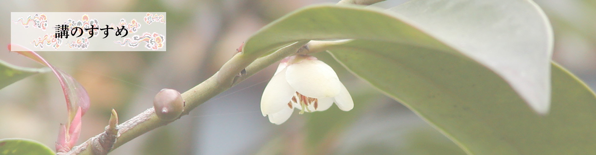出雲大社三河教会公式